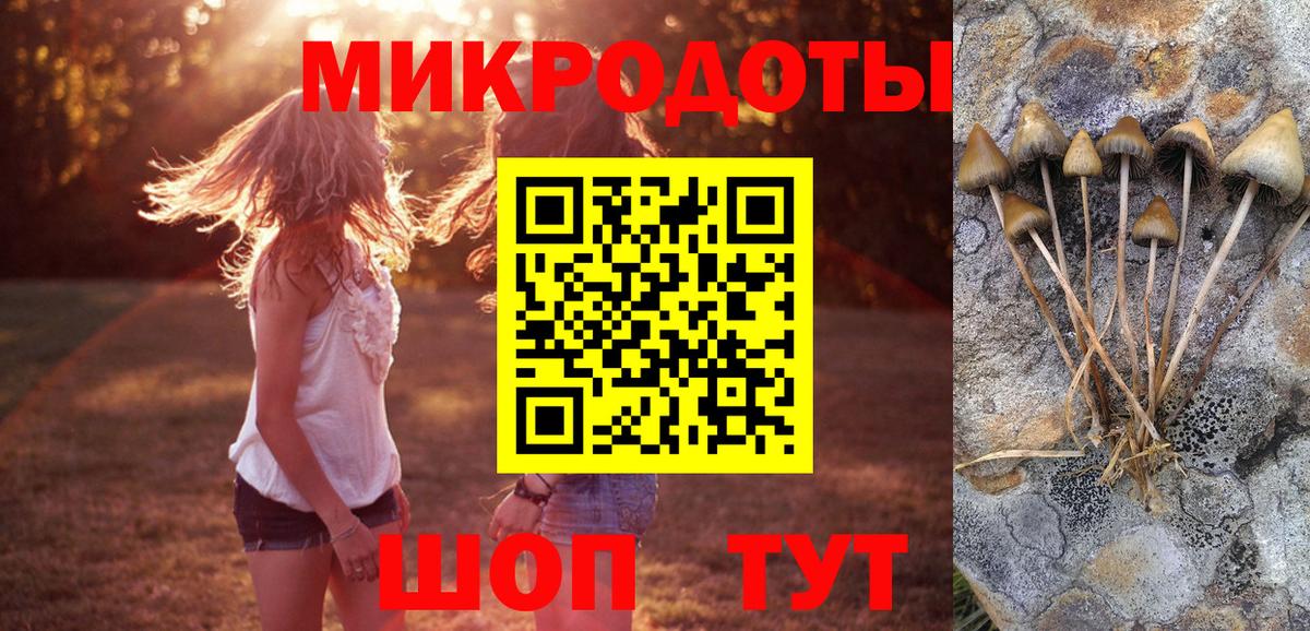 Реутов  Галлюциногенные грибы GOLDEN TEACHER  Вход с VPN  Галлюциногенные грибы GOLDEN TEACHER 